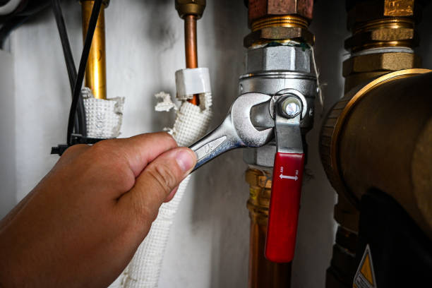 Best Local Plumber Services  in Metamora, IL